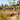 Eco conscious access control at The Reserve Chester Zoo