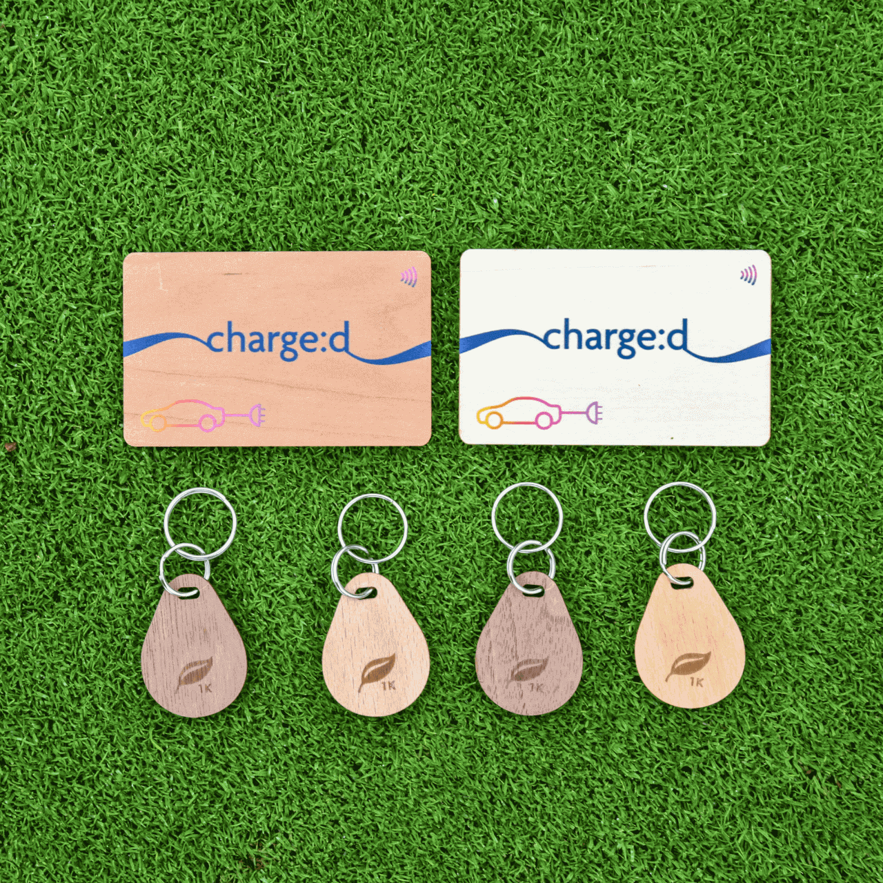 Sustainable EV Charging Custom Printed Cards and Keyfobs on grass