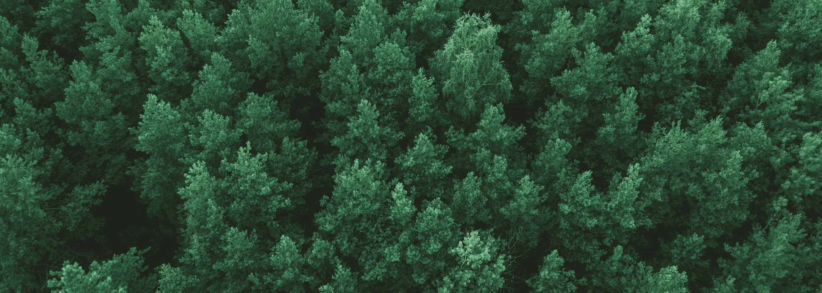 Eco-friendly RFID Wristbands for hotels and spas