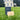 The Venues Collection RFID Hotel Key Card in grass