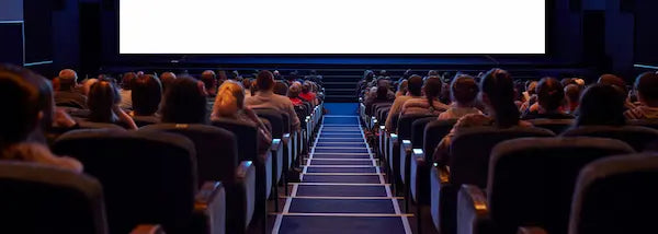 People sitting in cinema